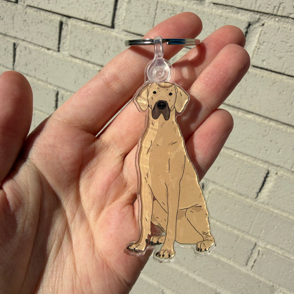 Great Dane Dog Keychain | Cute Acrylic Pet Keychain | Brown and Tan Great Dane | Dog Owner Gift